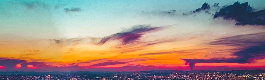 海东茶虫网_海东品茶